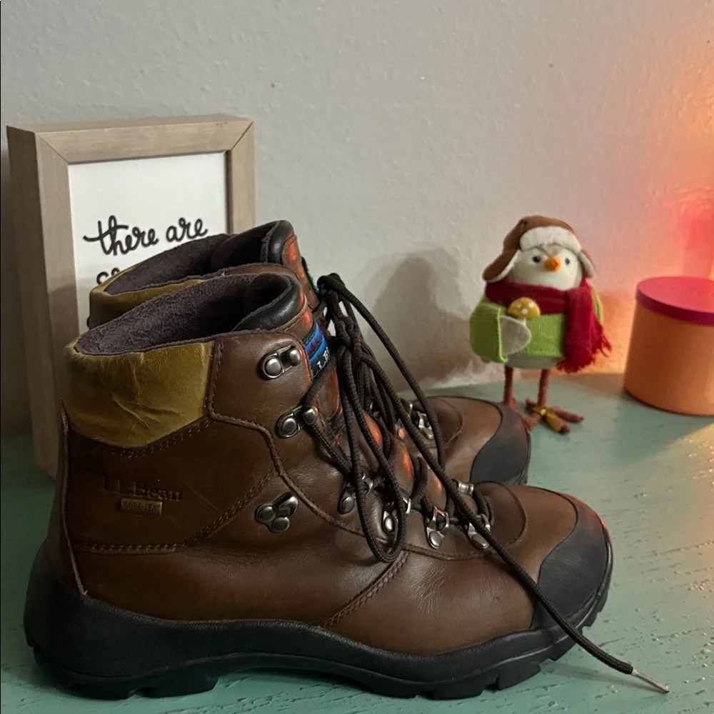 Brown L.L. Bean Hiking Boots SZ 9 mens box 102